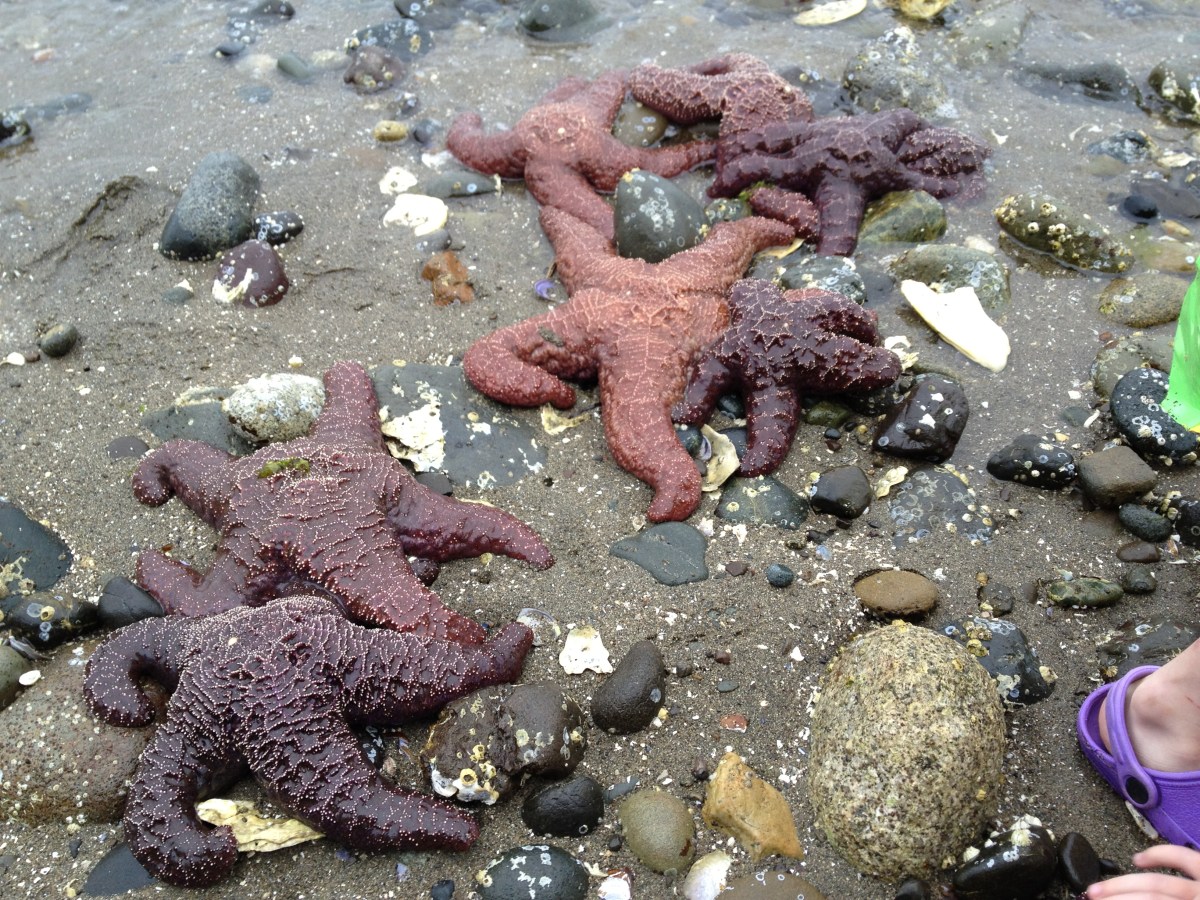 Archiving social media